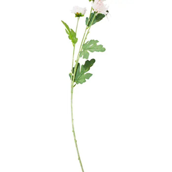 301001736915-galerias el triunfo