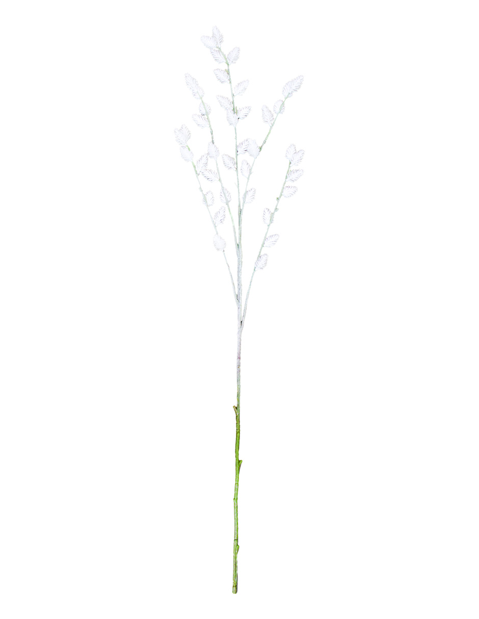 301001736959-galerias el triunfo