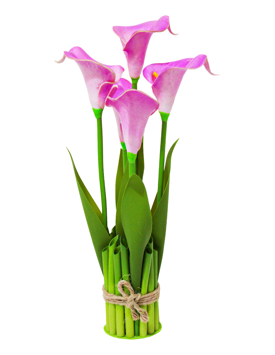 302001736030-galerias el triunfo