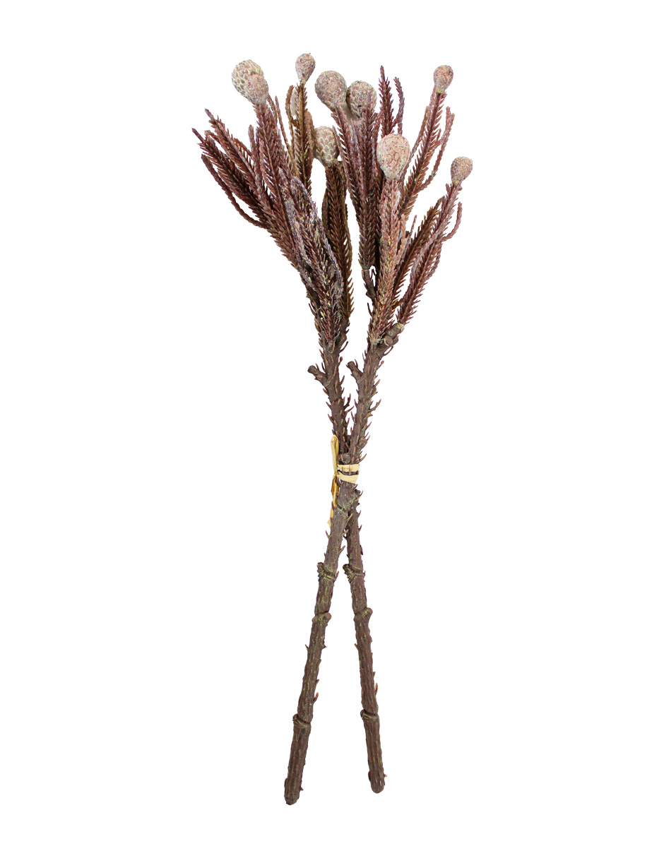 302001736059-galerias el triunfo