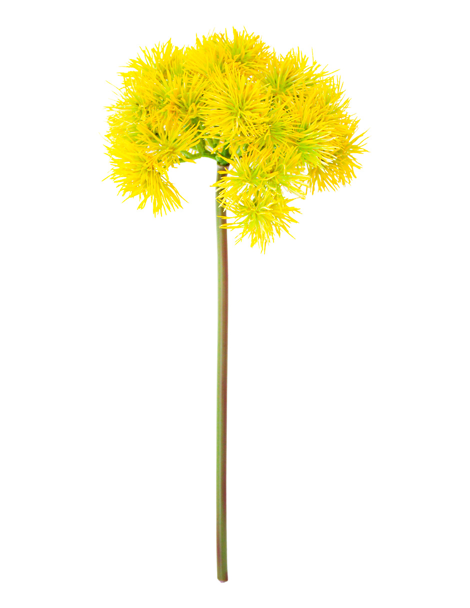 302001736089-galerias el triunfo