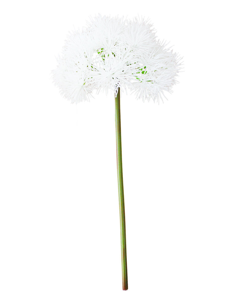 302001736090-galerias el triunfo