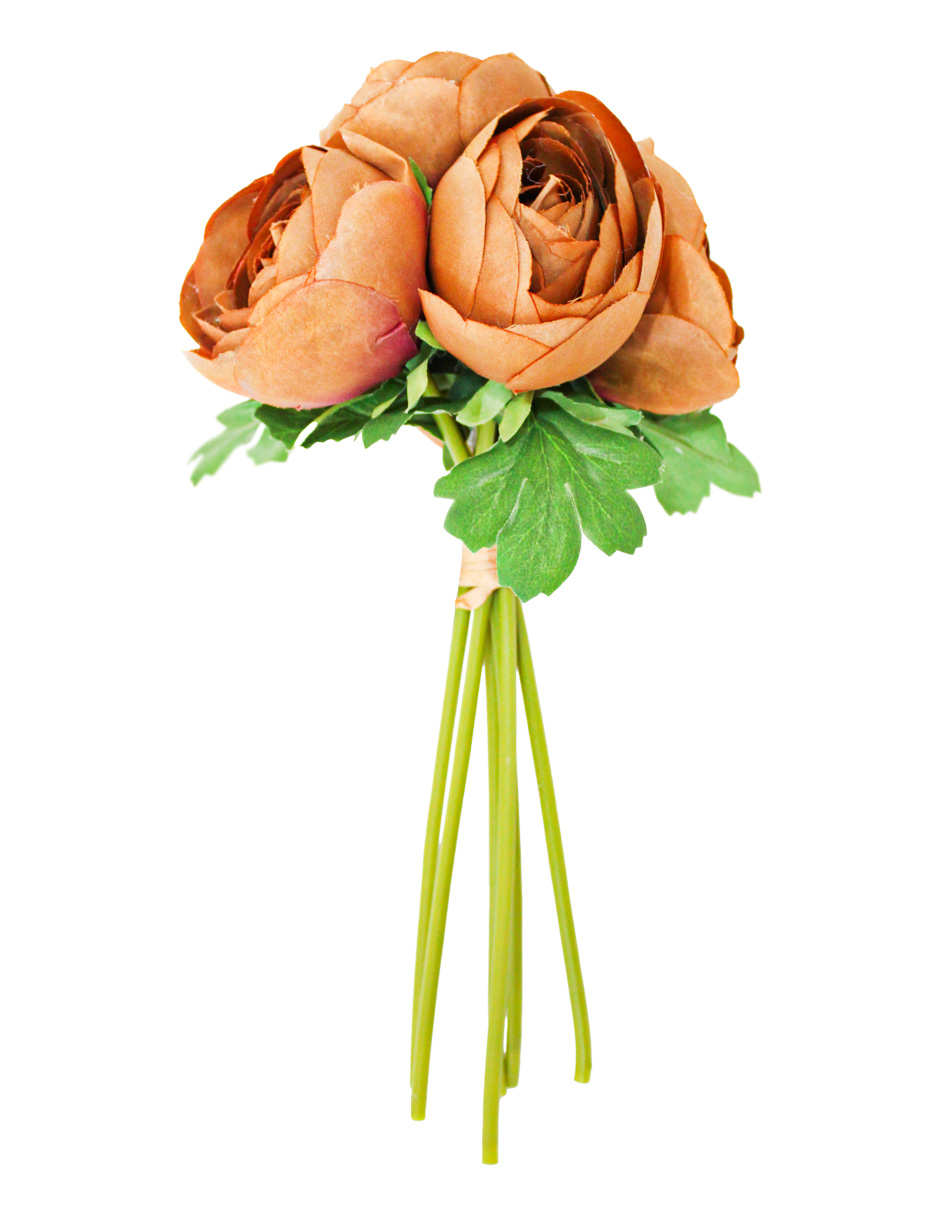 302001736101-galerias el triunfo