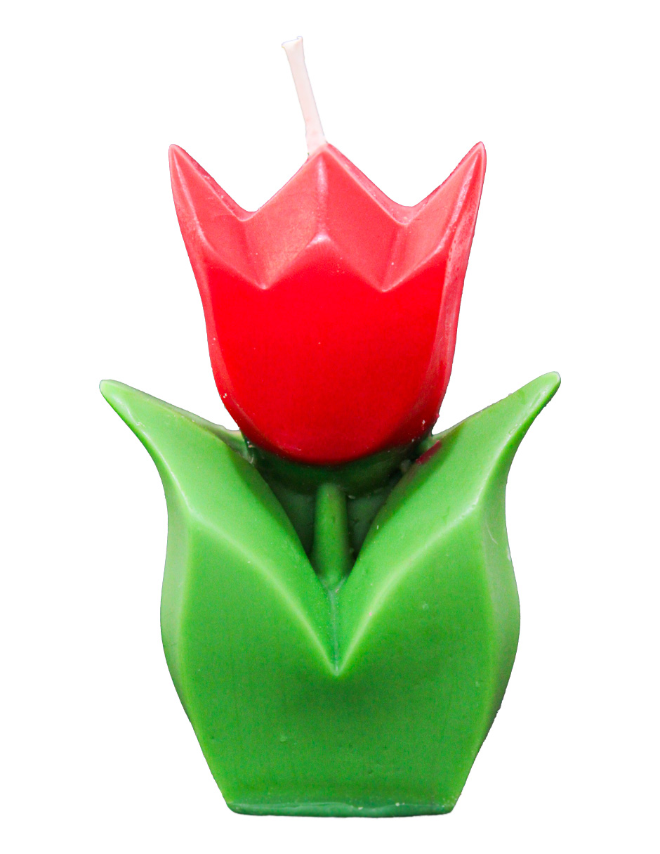 302001736194-galerias el triunfo