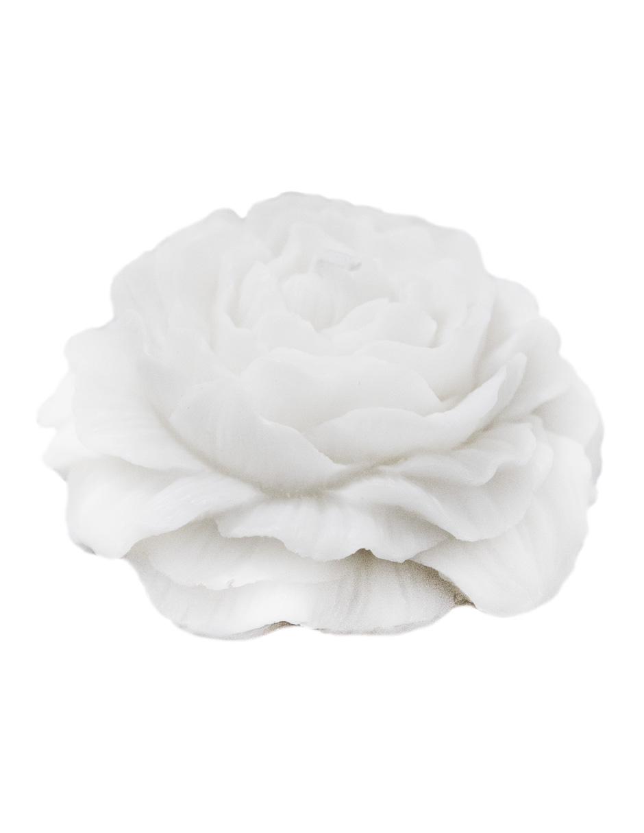 302001736254-galerias el triunfo