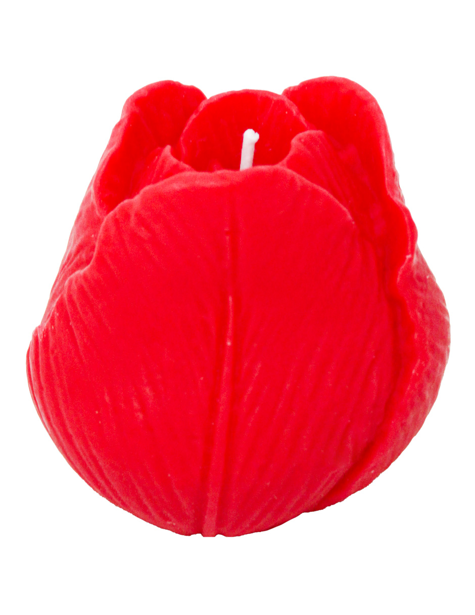 302001736255-galerias el triunfo