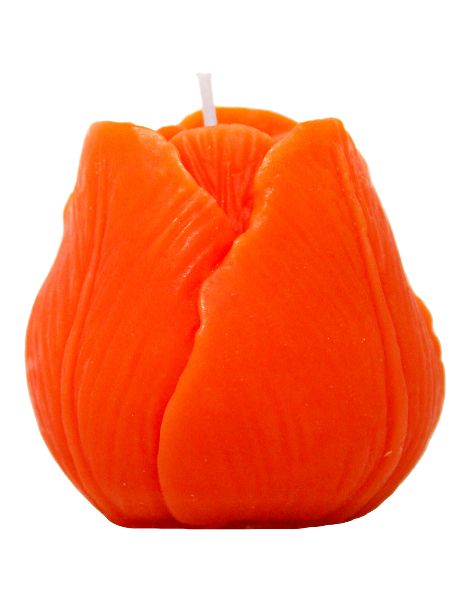 302001736256-galerias el triunfo