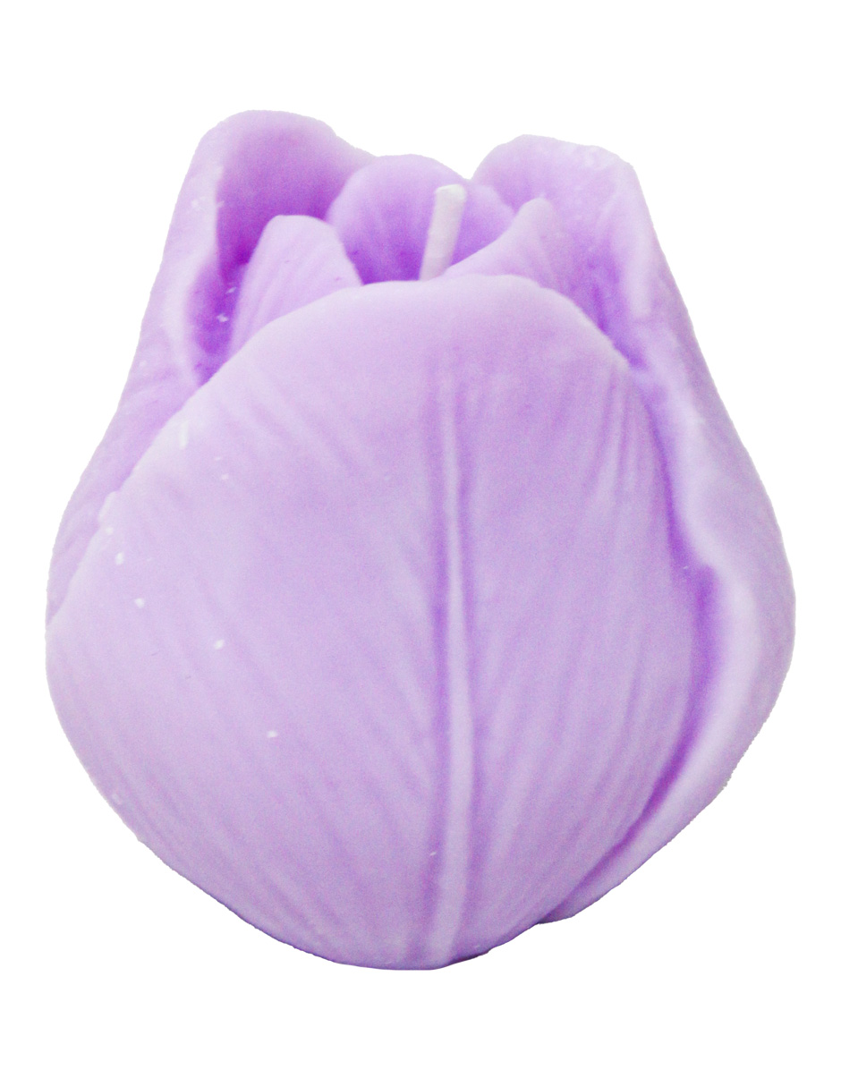 302001736257-galerias el triunfo