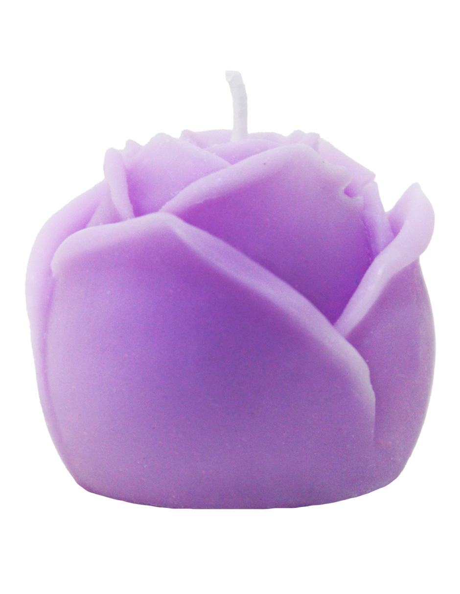 302001736268-galerias el triunfo