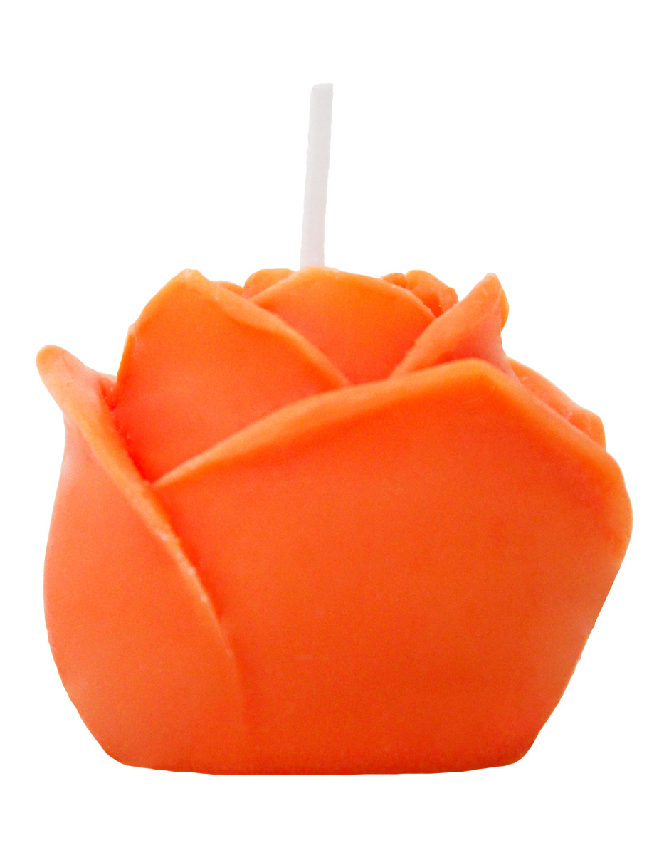 302001736270-galerias el triunfo