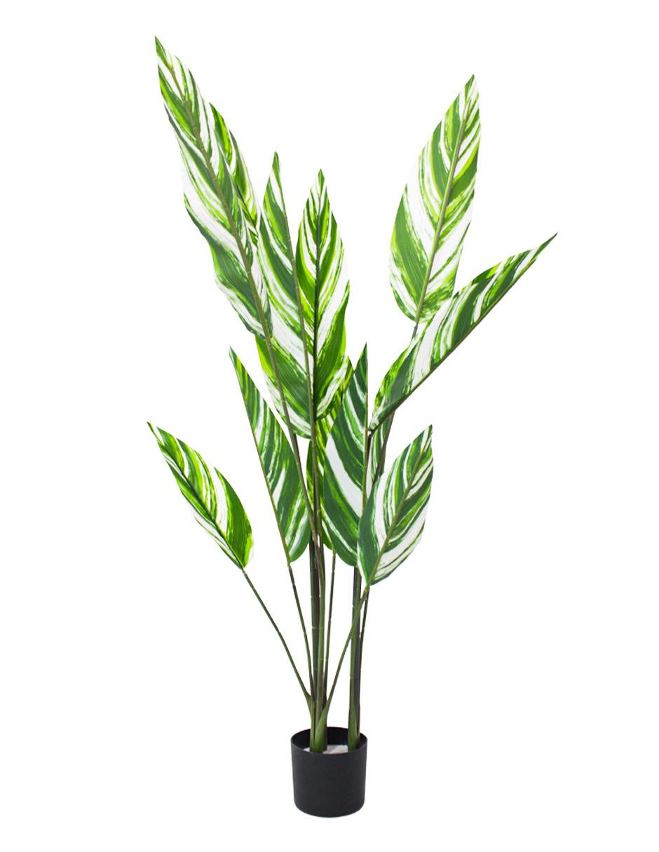 303001736320-galerias el triunfo