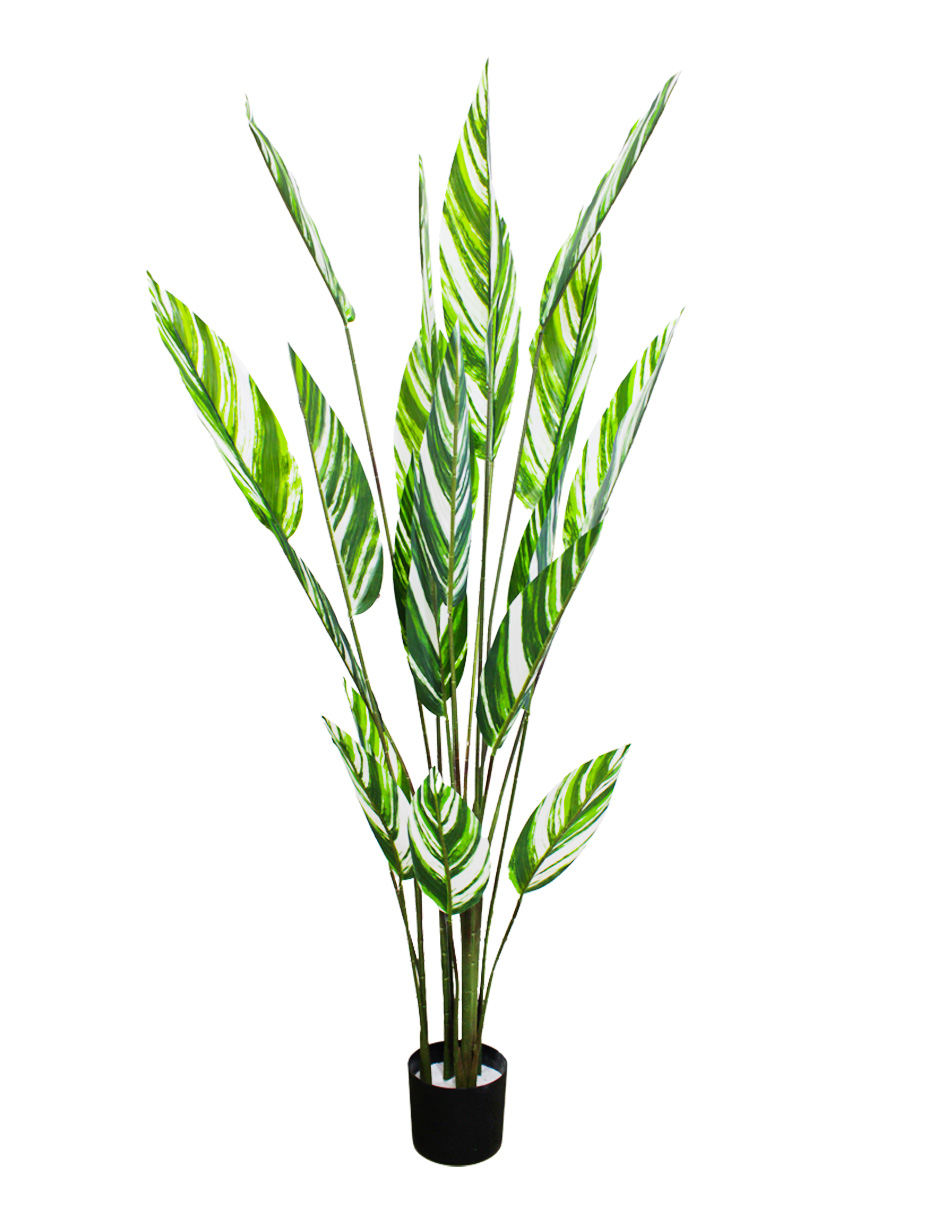 303001736321-galerias el triunfo