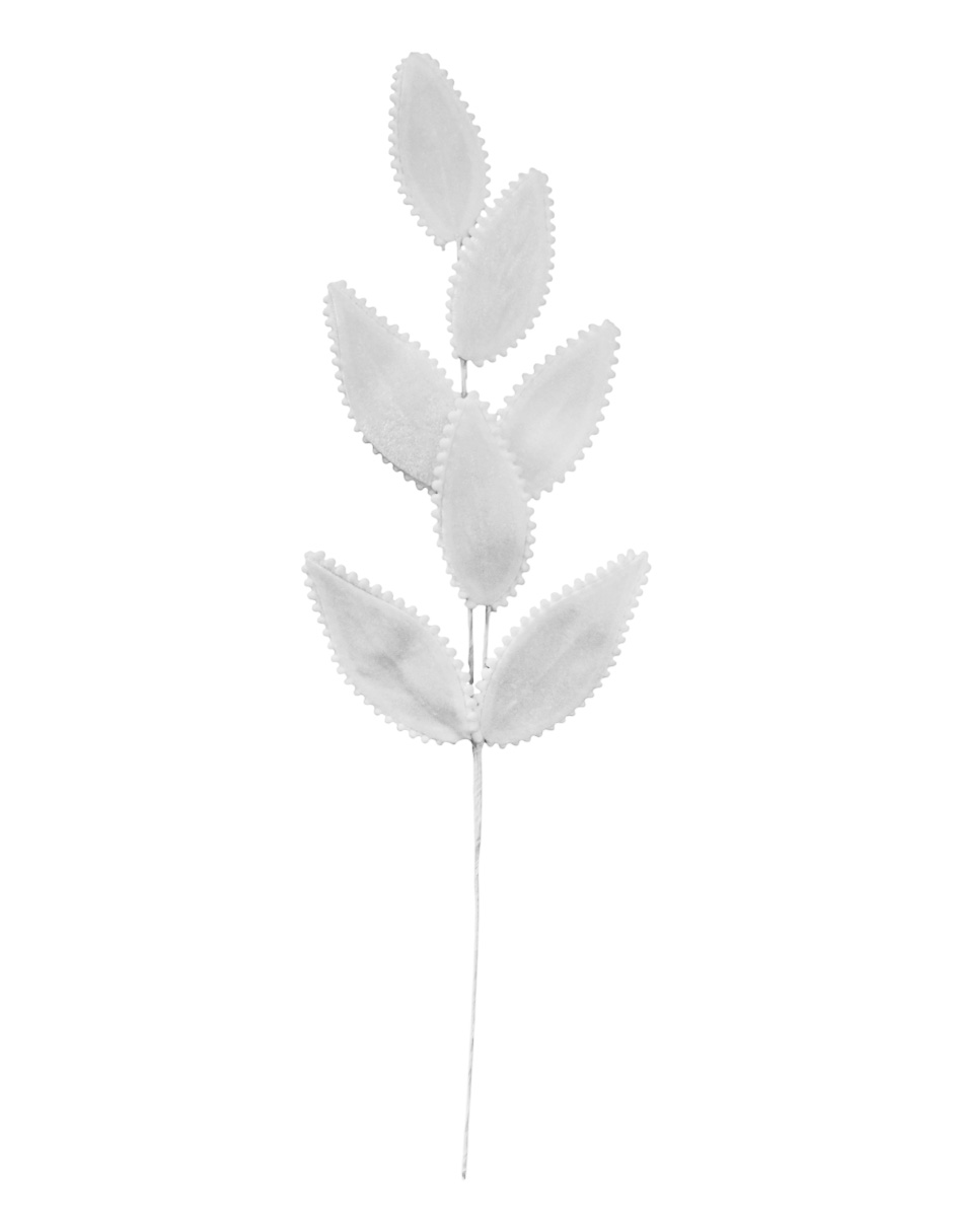 022032857006-galerias el triunfo