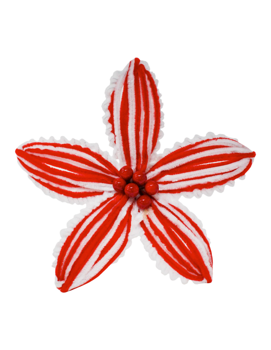 022032857009-galerias el triunfo