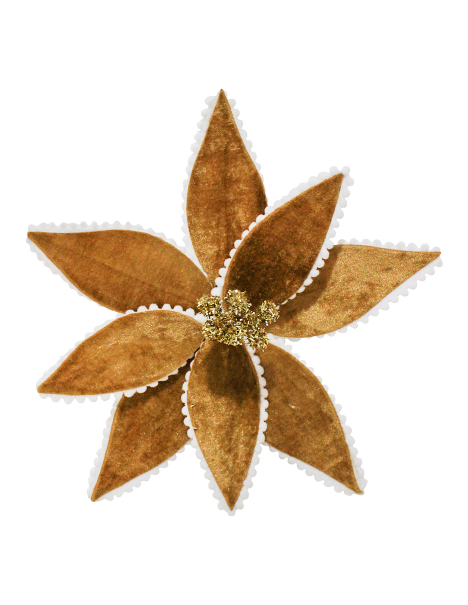 022032857024-galerias el triunfo