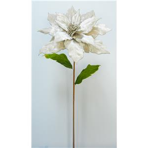 040907904437-galerias el triunfo