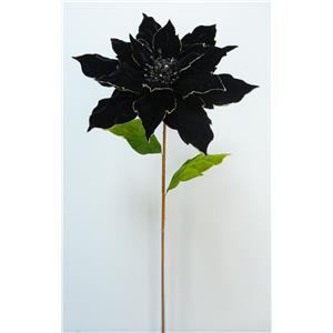 040907904439-galerias el triunfo