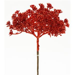 040907904455-galerias el triunfo