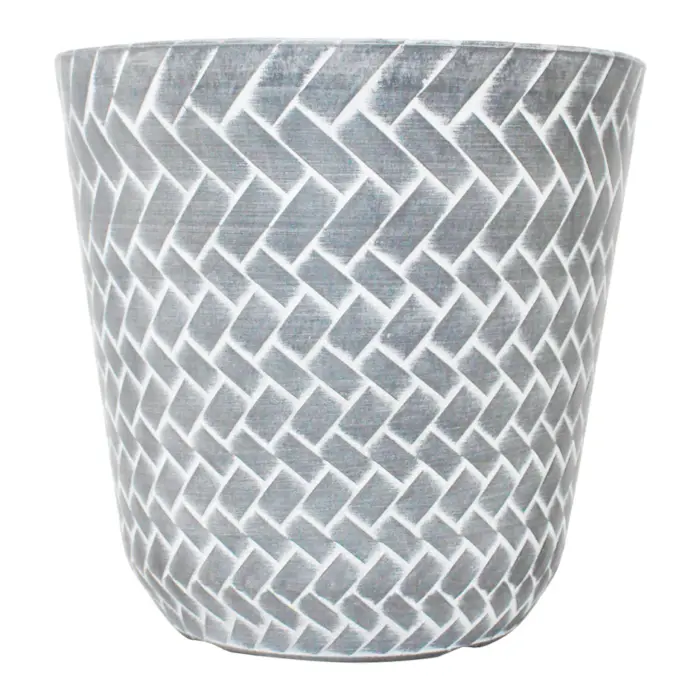 072072505036-galerias el triunfo