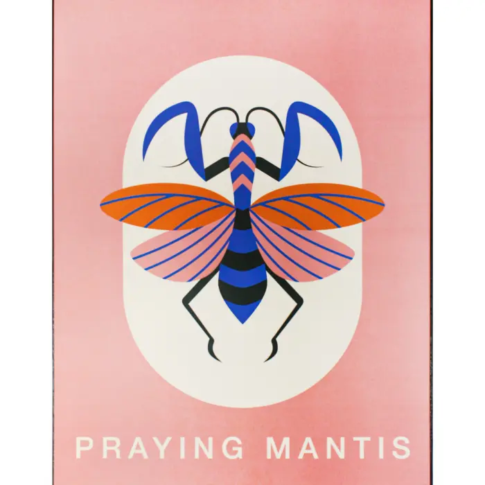 211012528160-galerias el triunfo