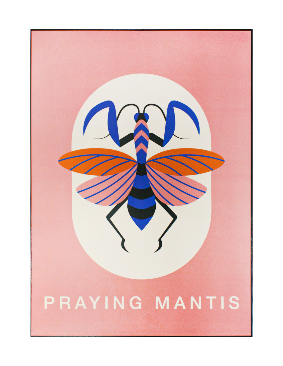 211012528160-galerias el triunfo