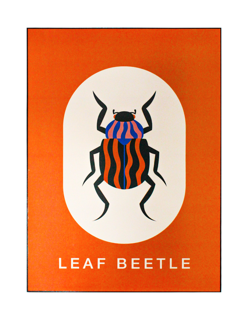 211012528161-galerias el triunfo