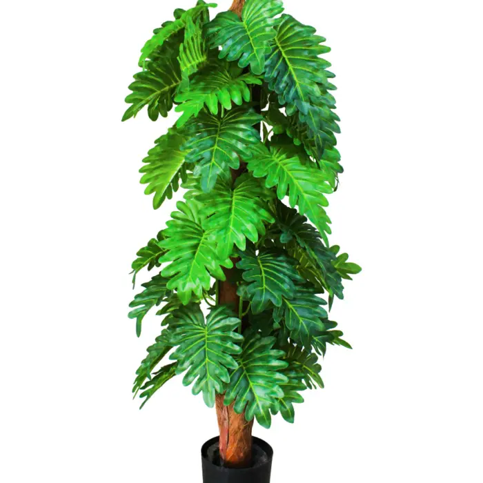 221001736217-galerias el triunfo