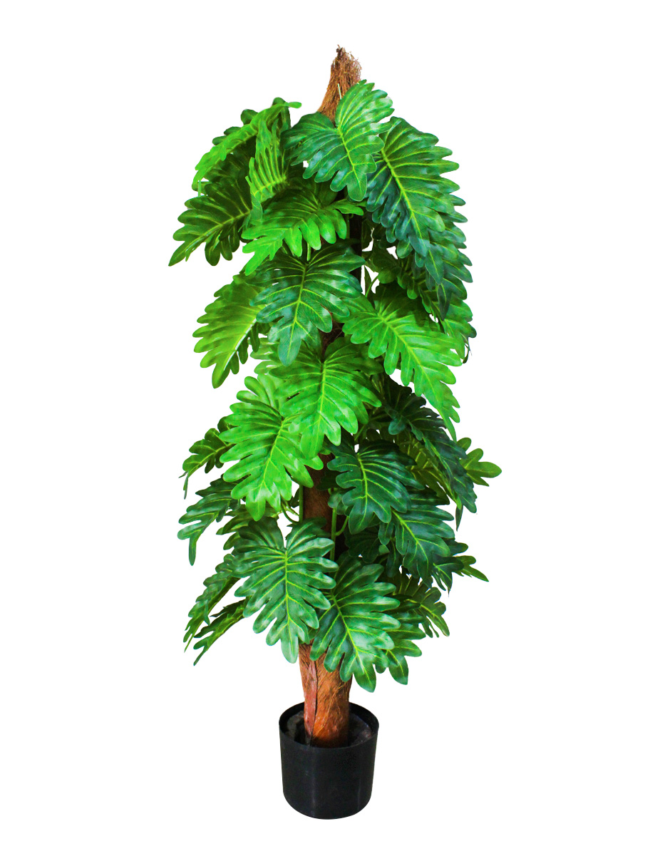 221001736217-galerias el triunfo