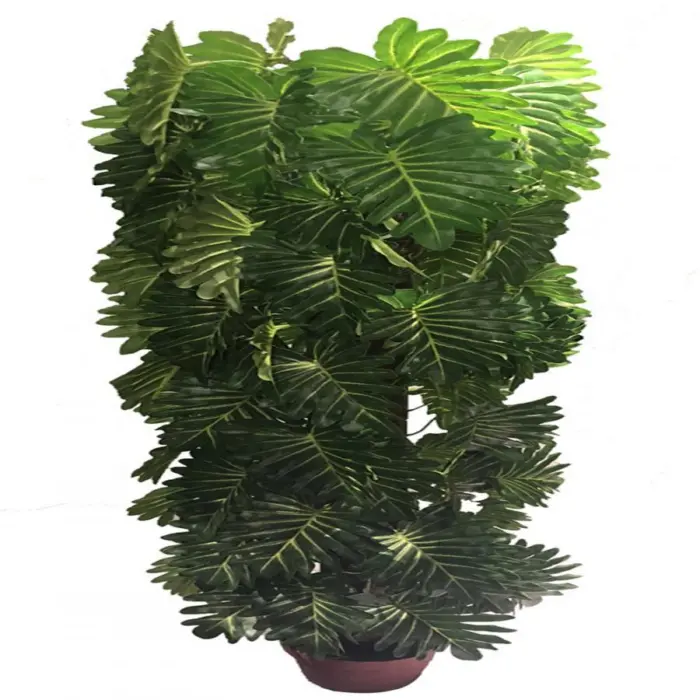 221001736219-galerias el triunfo