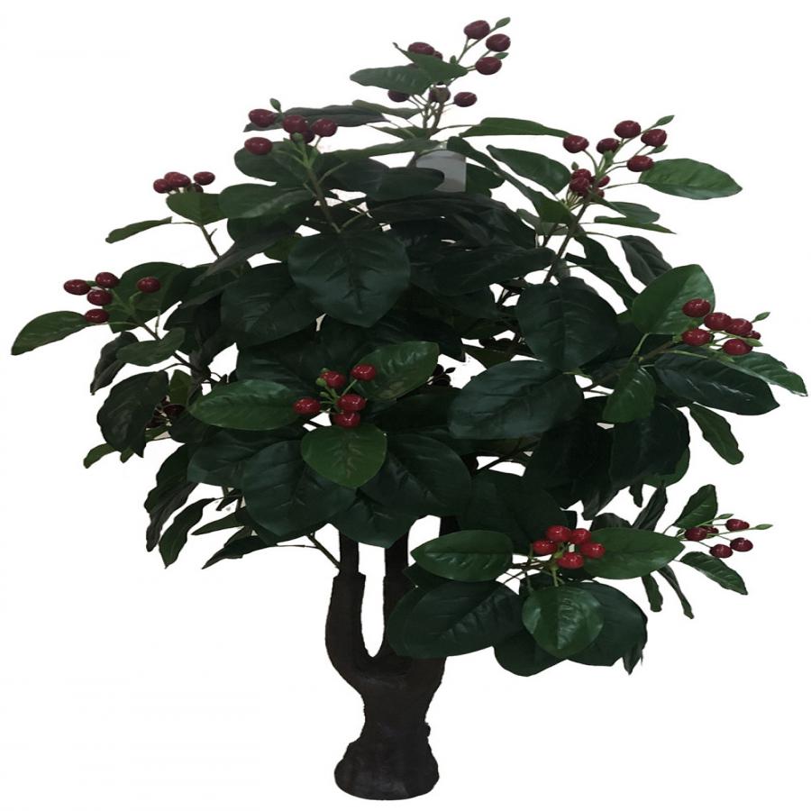 231001736683-galerias el triunfo