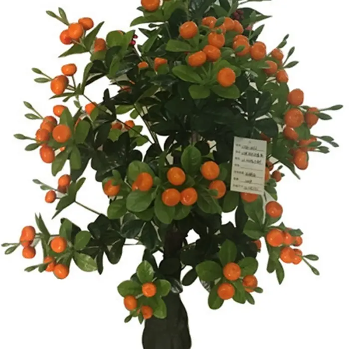 241171736504-galerias el triunfo