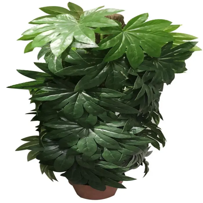 281001736191-galerias el triunfo