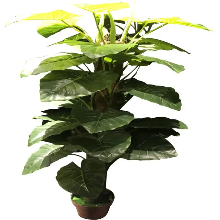 281001736193-galerias el triunfo