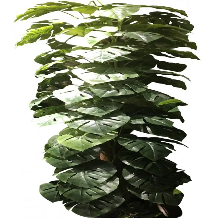 281001736194-galerias el triunfo