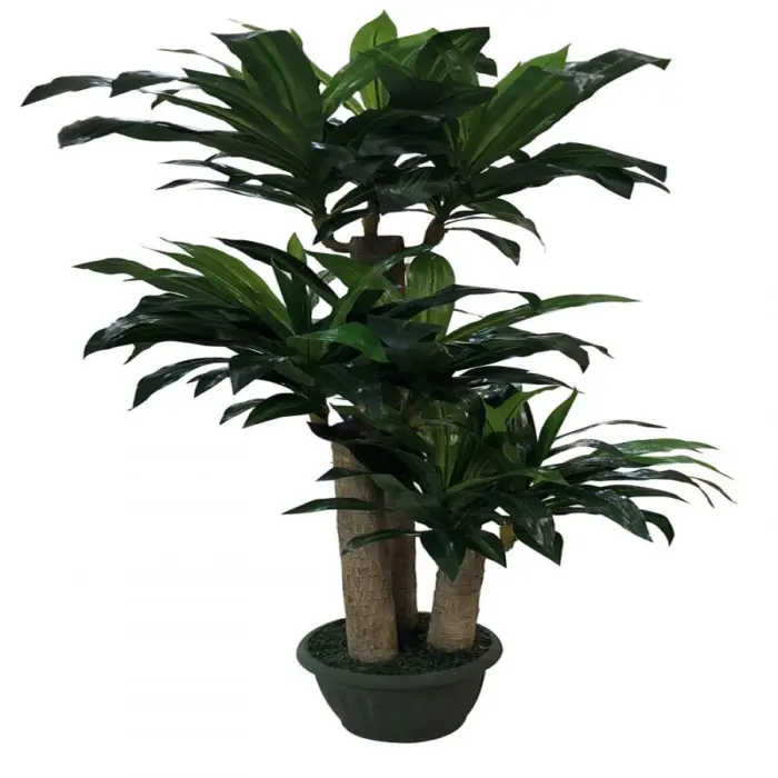 281001736200-galerias el triunfo