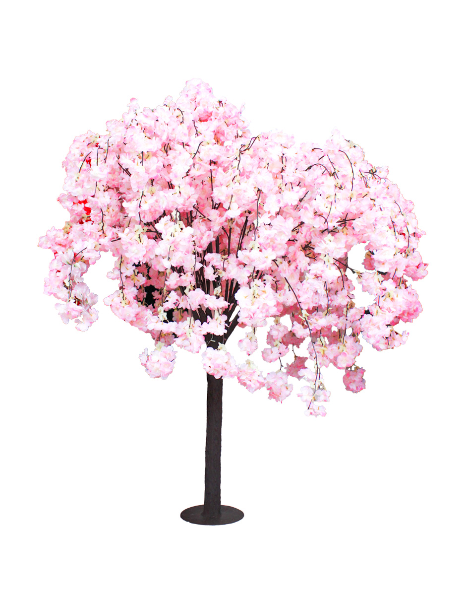 303001736653-galerias el triunfo