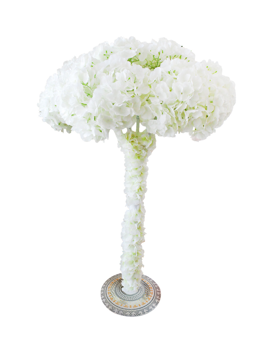 303001736654-galerias el triunfo