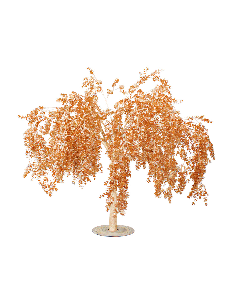 303001736656-galerias el triunfo