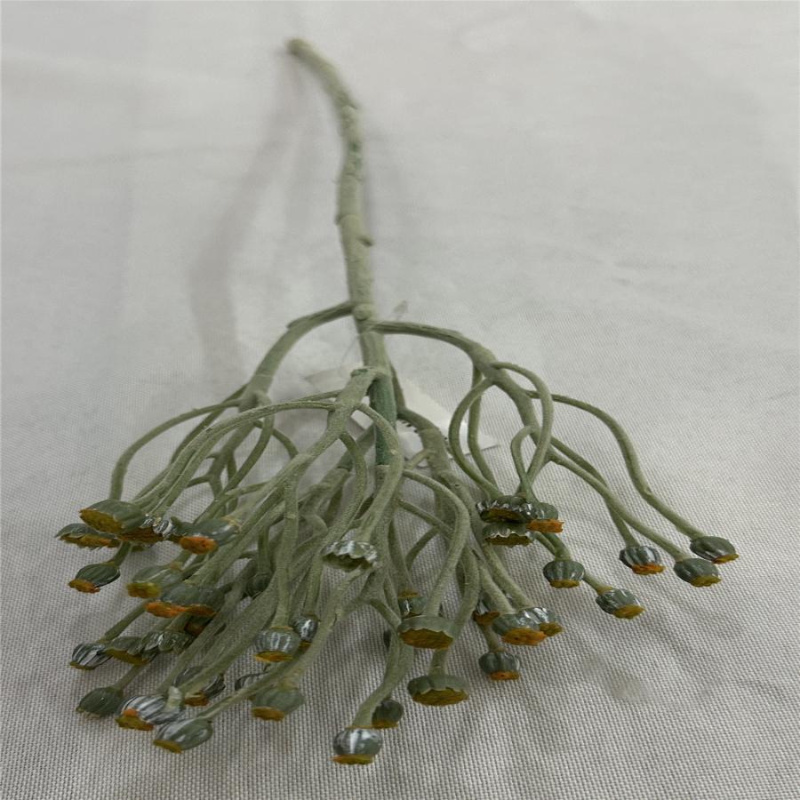 303001736976-galerias el triunfo