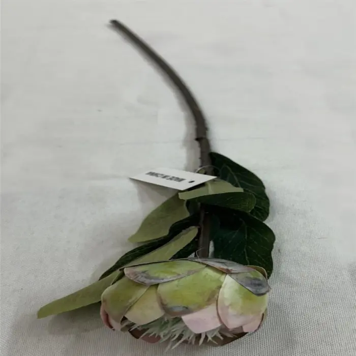 303001736987-galerias el triunfo