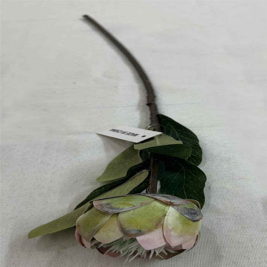 303001736987-galerias el triunfo