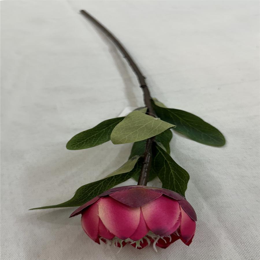 303001736988-galerias el triunfo