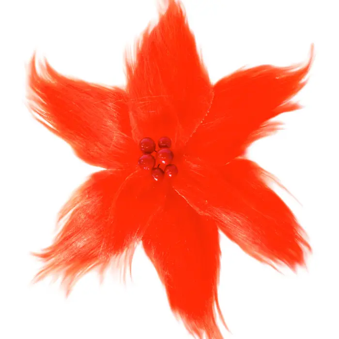 Nochebuena de Peluche Naranja