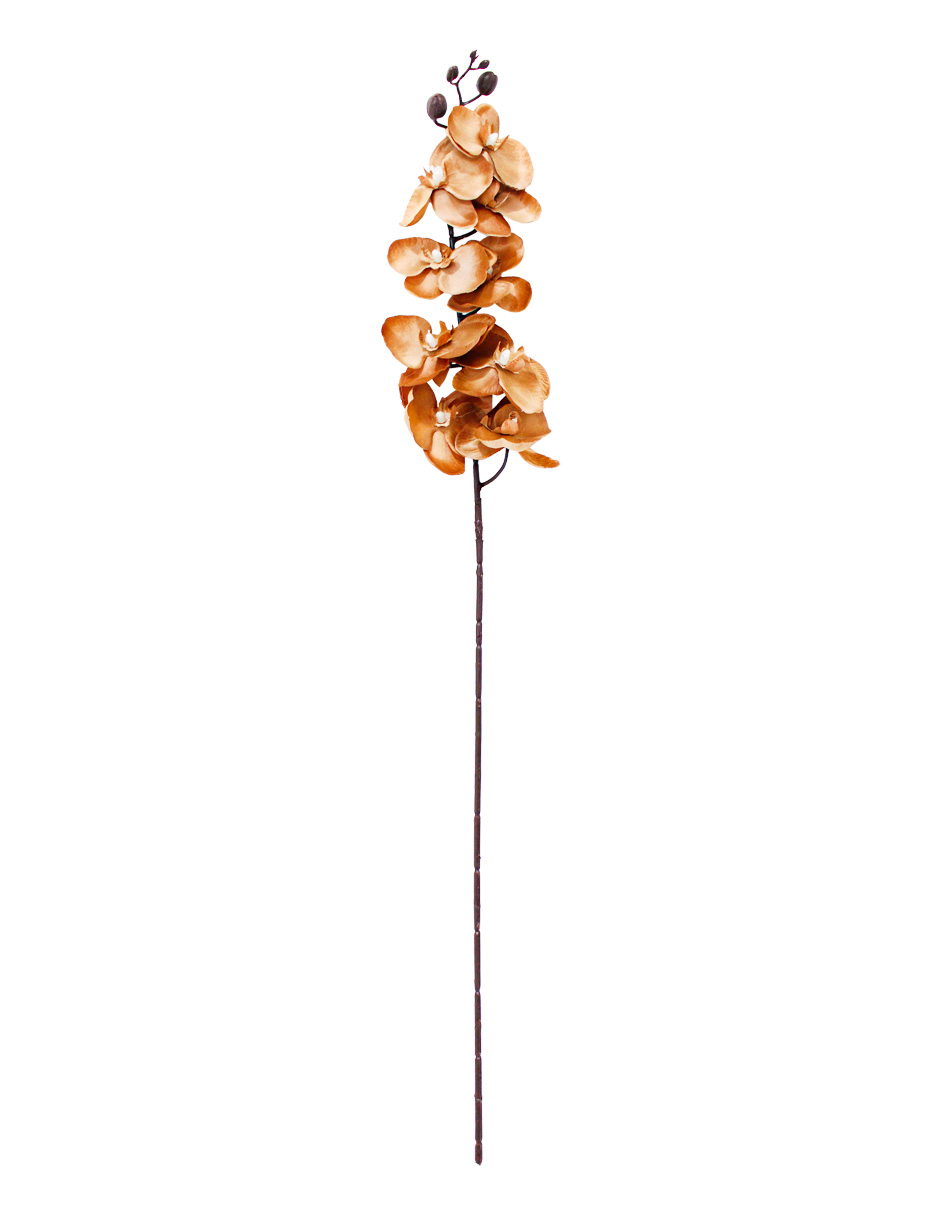 301001736944-galerias el triunfo