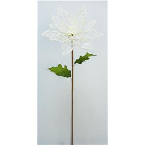 040907904424-galerias el triunfo