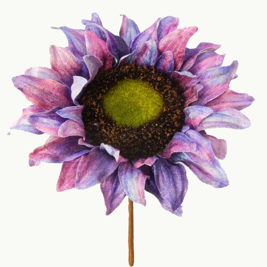 040907904462-galerias el triunfo