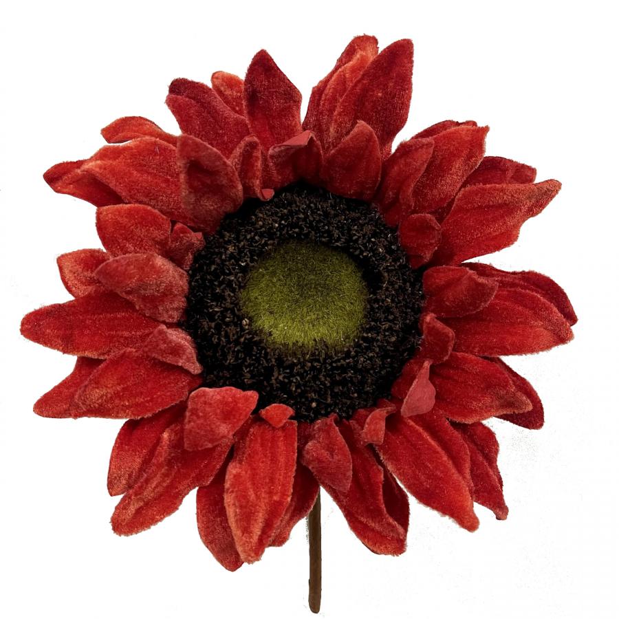 040907904464-galerias el triunfo