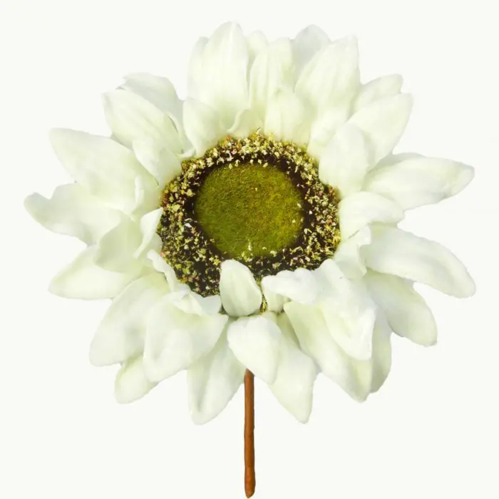 040907904467-galerias el triunfo