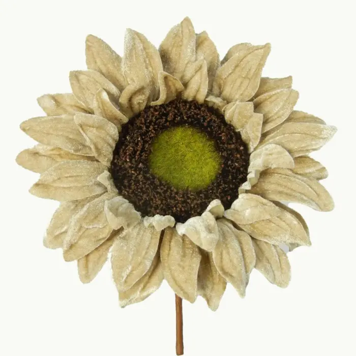 040907904468-galerias el triunfo