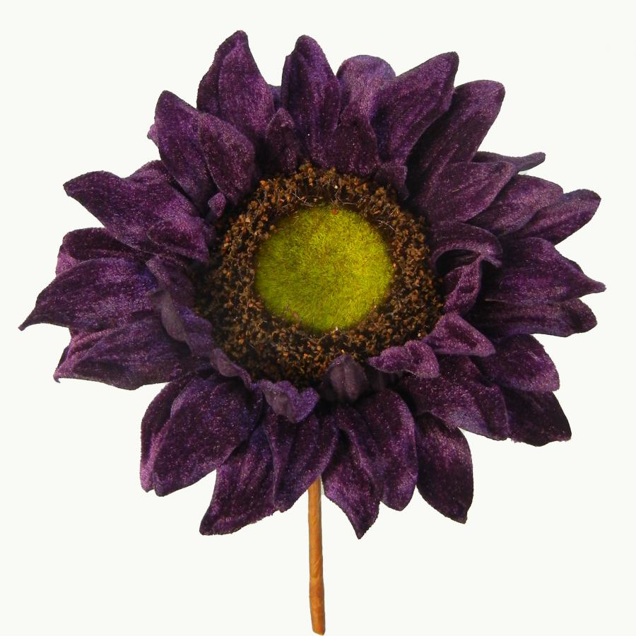 040907904470-galerias el triunfo